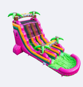 Tobogán Acuático Inflable de PVC Comercial <span class=keywords><strong>Personalizado</strong></span> de Fábrica con Piscina, Apto para Fiestas y Alquiler al Aire Libre para Niños y Adultos - Product Image 2