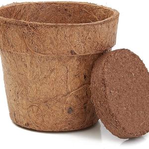 Maceta de Fibra de Coco para Plantas, Jardín y Flores, Canadá, Estados Unidos - Product Image 2