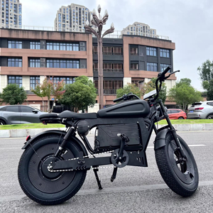 1500w 48v Bike Scooter Mountain Bike <b>Light</b> X Lack Fatbike Walfih Et-7 SK-2 1500w 48v Electric Bike Electric Bicycle Scooter Elec - Product Image 5