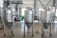 Équipement de brassage de bière de petite taille 300L pour la fermentation