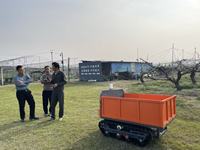 Mini Vehículo de Transporte con Orugas de Goma, Transportador Eléctrico con Control Remoto para Huertos, Granjas e Invernaderos