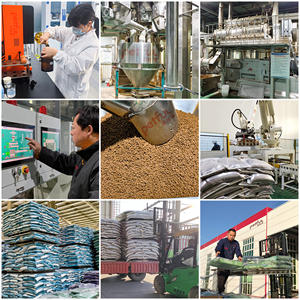 OEM ODM <span class=keywords><strong>Chinese</strong></span> Dry Pet Food Verschiedene Aromen in dreieckigen quadratischen kreisförmigen Stern Donut-förmigen Bulk-Hunde katze füttern mehrere Formen - Product Image 5