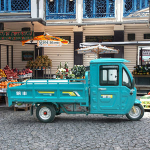 WF1500DZH Triciclo Eléctrico de Carga Agrícola de 3 Ruedas para Adultos, de Alta Resistencia, Cerrado y Personalizado con Toldo o Cabina - Product Image 3