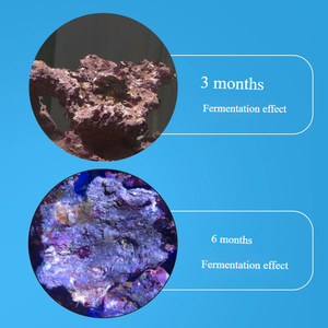 Onregelmatig gevormde landschapsrotsen voor zeewater-koraal aquariums, algenbloeivrije kunstmatige levende rotsen, P-rotsen, natuurstenen - Product Image 2