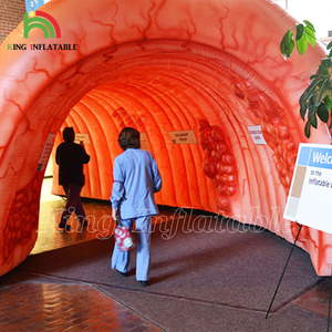 Túnel Inflable de <span class=keywords><strong>Colon</strong></span>, Órgano Intestinal Grande, para Exhibiciones Médicas, Eventos Hospitalarios y Centros Médicos - Product Image 4