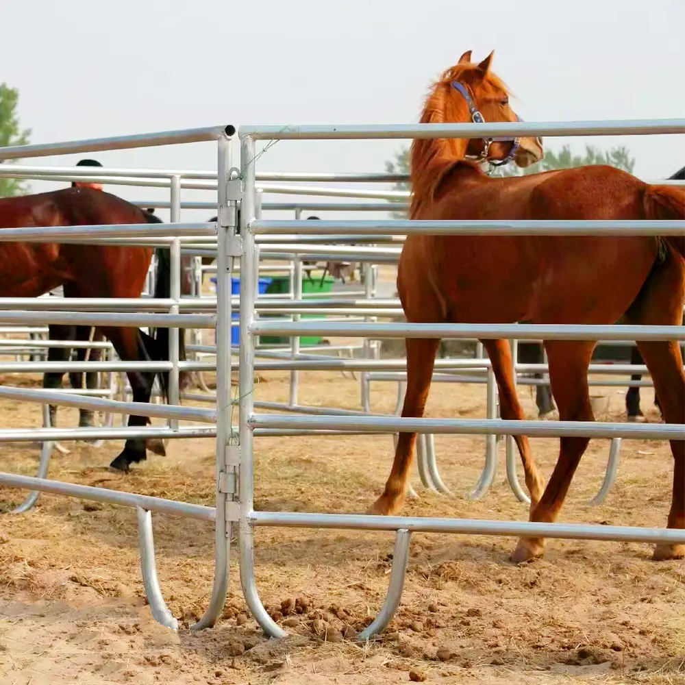 12 Ft Draagbare Zware Gegalvaniseerde Metalen Ronde Pen Vee Corral Vee Boerderij Paardenwerf Hek Panelen