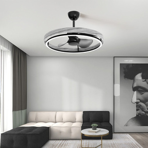 Nieuwe 25 Inch Slaapkamer Smart Fan Light Tuya App Bediening Moderne Ventilator De Techo Bldc Afstandsbediening Plafondventilator Met Led Licht - Product Image 5