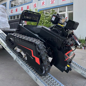 Nuovo Arrivo Mini Tosaerba Elettrico Radiocomandato per Fattoria e Casa con Larghezza di 500mm, Trinciaerba Robotizzato Diesel con Componenti <span class=keywords><strong>Motore</strong></span> Principali - Product Image 1