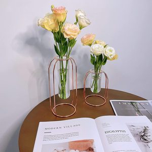 Vase hydroponique en verre et métal INS, dispositif en cristal, terrarium, station <span class=keywords><strong>de</strong></span> multiplication, <span class=keywords><strong>d</strong></span>écor <span class=keywords><strong>de</strong></span> maison, articles mobilier, vase en or - Product Image 6