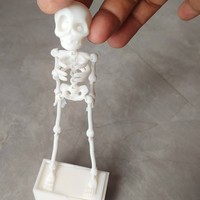 Crâne dansant multi-articulé, mignon ornement d'aquarium, décoration amusante en plastique mobile pour poissons, oxygénant