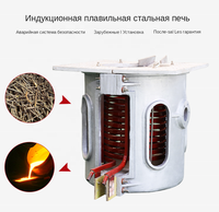 Fourneau de fusion pour la production d'acier de 100 kg, 500 kg, 1 T, mini fonderie, fabricant de fours de fusion de fer