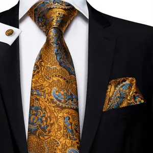 Haute qualité Jacquard luxe hommes cravates Paisley italien soie cravates ensembles