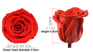 En gros préservé roses jaunes le <span class=keywords><strong>japon</strong></span> a conservé des roses l'éternité roses naturelles - Product Image 3
