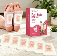 Patchs Détoxifiants Naturels pour les Pieds à Base de Plantes, Ingrédients Naturels, Marque Privée OEM pour une Meilleure Qualité de Sommeil et une Relaxation Accrue