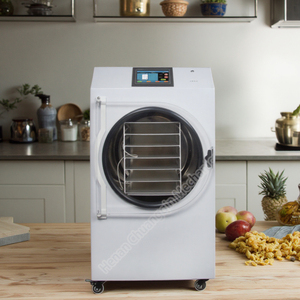 <b>Vacuum</b> <b>Pump</b> for Guangzhou Freeze Dryer Powder - Product Image 4