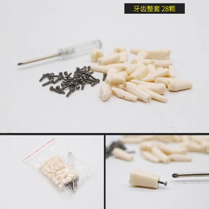 Modèles de dents en résine pour la formation dentaire, ensemble d'entraînement pour usage domestique, équipement et accessoires de thérapie orale pour adultes, 19g - Product Image 4