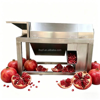 Commerciële apparatuur voor het pellen en scheiden van granaatappels, complete set voor diepgaande verwerking van granaatappelsap en fruitwijn