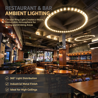 Lampes LED pour grille de ventilation de fournisseur de solutions hôtelières, éclairage annulaire en fer dimmable pour restaurants, bars et espaces commerciaux multiples