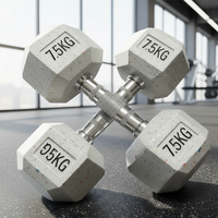 Ensemble d'haltères en caoutchouc personnalisables avec logo, 2,5-5 kg, 5-100 lb, vente en gros d'usine, haltères à tête ronde pour musculation