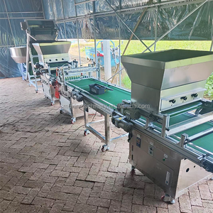 Sembradora Automática de Bandejas <span class=keywords><strong>MX</strong></span> - Sembradora de Bandejas Enchufables para el Siembra de Plántulas de Flores y Vegetales - Product Image 4