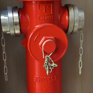 Hydrant anti-collision pour incendies au sol |   Robinet d'incendie flexible extérieur en fonte thermolaquée 2/3 voies DN65 DN80 1.6MPa - Product Image 4