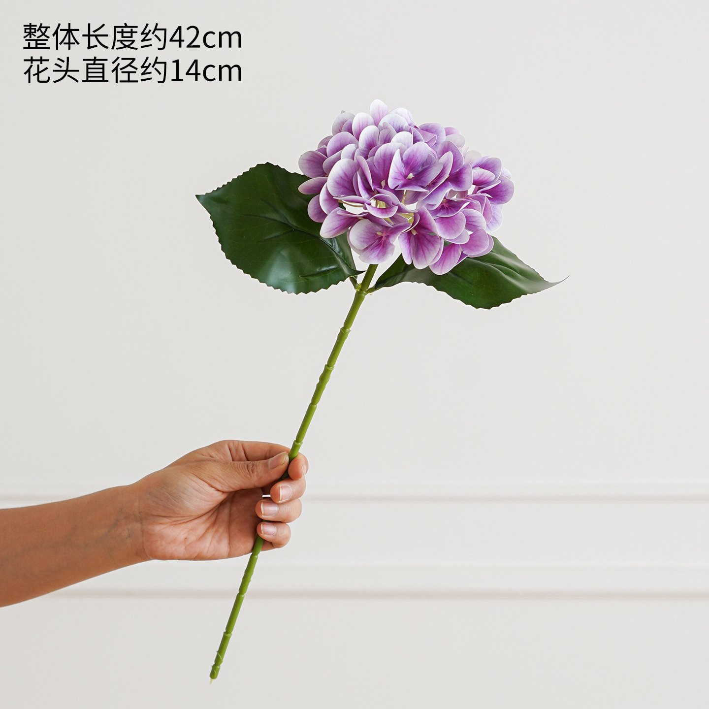 Hortensia de una sola cabeza violeta