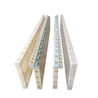 Panneaux de coffrage en plastique creux légers et réutilisables, conception imperméable pour la construction de murs, de dalles et de colonnes en béton