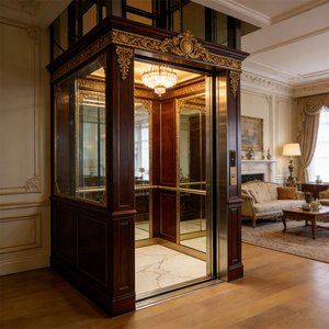 Yaşlılar İçin Kompakt Ev Asansörü Kolay Kontrol Otomatik Kapılı Apartman Villa Asansörü 2-6 PVC Çekişli/Hidrolik Tahrikli - Product Image 2