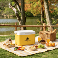 Glacière portable 8L, qualité alimentaire PP, isolation thermique, maintien au frais 48h, plusieurs couleurs, mini-réfrigérateur pour camping et pique-nique