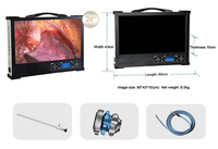 Sistema de cámara endoscópica 1080P integrado portátil de 24 pulgadas, equipo de imágenes médicas veterinarias para perros
