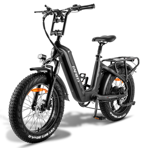 EU kho dropshipping fafrees F20 Thạc sĩ sợi carbon Khung chất béo-lốp Ebike 500W động cơ mạnh mẽ fatbike Xe đạp điện - Product Image 1