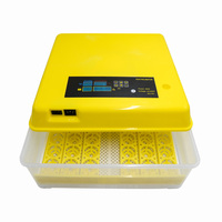 Grande Promotion Livraison Gratuite Double Alimentation DC AC Couveuse Entièrement Automatique 48 Œufs de Poule 132 Œufs d'Oiseaux à Vendre