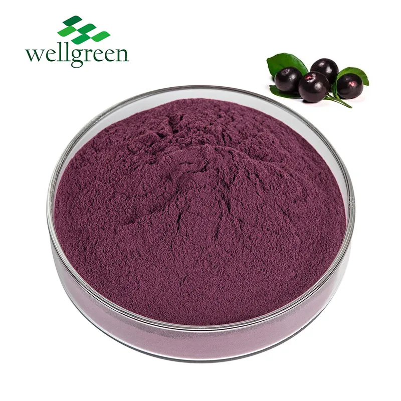 Factory Supply 100% Pure Natural Acai Berry Extract Fruit Powder Brazil Berry Powder