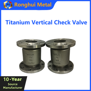 Válvula de Retención Vertical RTS Gr2, Diseño Compacto <span class=keywords><strong>que</strong></span> Ahorra Espacio, Alta Resistencia para Desalinización de Agua de Mar y Fluidos de Alta Presión - Product Image 1