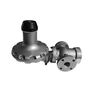 เครื่องควบคุมความเร็วก๊าซธรรมชาติแบบใช้ซ้ำได้น้ำหนักเบาใช้ในเชิงพาณิชย์แบบญี่ปุ่น - Product Image 2