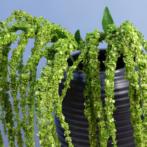 Fiori Artificiali Decorativi <span class=keywords><strong>di</strong></span> Amaranto Verde in <span class=keywords><strong>Plastica</strong></span> <span class=keywords><strong>di</strong></span> Alta Qualità Effetto Real Touch - Product Image 2