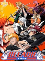 Vente en gros de cartes à collectionner YouKa Bleach Kurosaki Ichigo, collection limitée d'anime japonais, jeu de société.