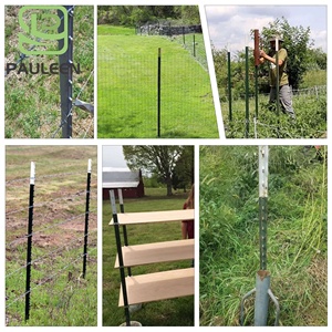Poteau en T en acier vert à clous de 6 à 10 pieds, prix d'usine en gros, pour clôtures de ferme et de jardin aux États-Unis, clous robustes, clous à clous pour le <span class=keywords><strong>Canada</strong></span> - Product Image 4