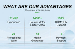Sistema de Purificación de Agua por Ósmosis Inversa de 1 TPH para Riego de Invernaderos, Elimina Metales Pesados y Sarro, Apto para Cultivos - Product Image 6