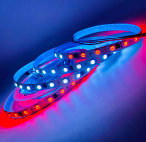 매직 LED 스트립 60LED/M 2811IC 중단점 복구 주소 지정 가능한 스트립 SMD5050RGB IP20 DC12V 10mm PCB 발광 다이오드 - Product Image 2