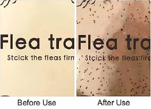Lámpara LED para Atrapar <span class=keywords><strong>Pulgas</strong></span>, Atrapa Insectos con Luz Adhesiva, Trampa para Insectos para Mascotas, Control de Plagas en Interiores - Product Image 6