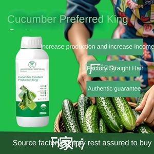 Fertilizante Soluble en Agua de Pepino para una Rápida Suplementación de <span class=keywords><strong>Azufre</strong></span>, Calcio y Magnesio para las Hojas - Product Image 3