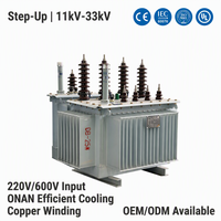 Transformador Sumergido en Aceite ONAN de 220v a 10kv, 11kv y de 600v a 33kv para Distribución de Energía en Exteriores