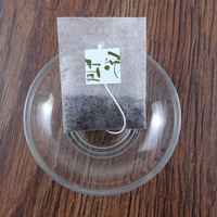 10000 pièces sur mesure votre logo vide pyramide Pla biodégradable fibre de maïs vide sachet de thé