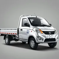 China Merk Foton Nieuwe 2 Ton Kleine Cargo Truck Benzine Mini Cargo Truck