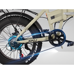 Bicicleta de Montaña Plegable de Aluminio de 20 Pulgadas con Motor en el Buje Trasero, Neumáticos Anchos, Batería de Litio de 48V 13Ah y 250W para Niños, ¡Oferta! - Product Image 3