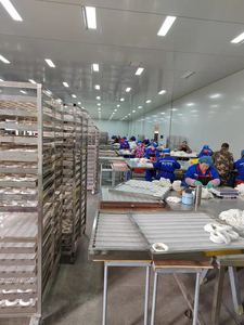 Masticar hueso Natural blanco para perros, hueso anudado expandido, diferentes tamaños, masticable - Product Image 4