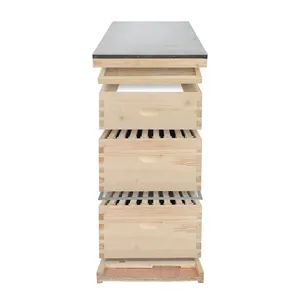 Kit de ruche d'abeilles Langstroth Équipement d'apiculture Ruche en bois