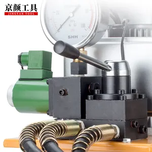 Factory Direct Sale 700 Bar High Pressure Hydraulic Pump High Quality Electric Hydraulic Oil Power Pump 3 Way Acting