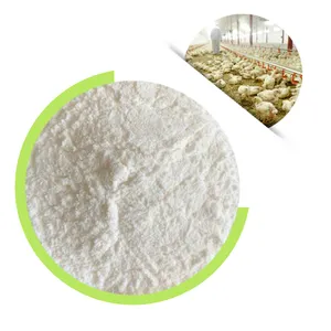 Low price animal probiotic/Poultry Probiotics for Chickens breeding from chinese factory